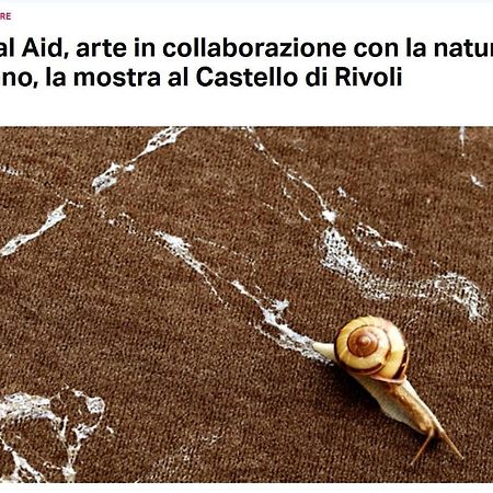 La Casa Di Silvio Ai Giardini Reali Appartement Turijn Buitenkant foto