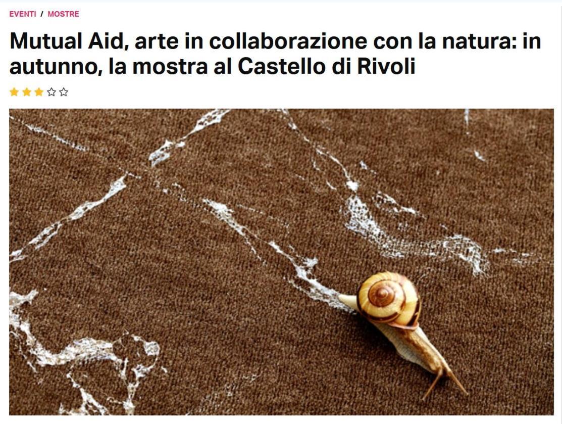 La Casa Di Silvio Ai Giardini Reali Appartement Turijn Buitenkant foto